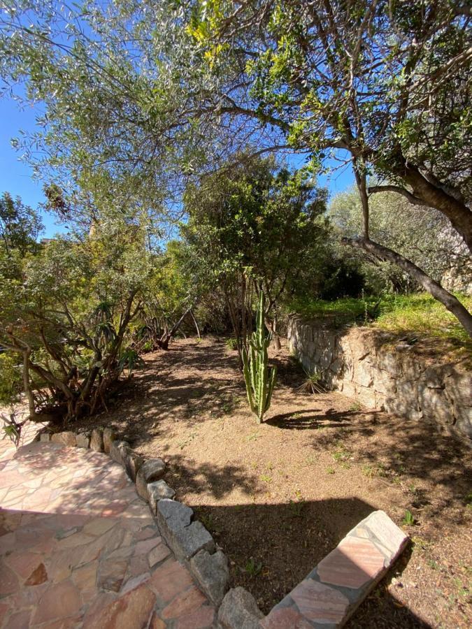 Villa Cote Plage Ajaccio  Eksteriør bilde